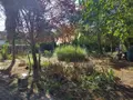 Maison a vendre Le Pallet 44330 Loire-Atlantique 44 89 m2 5 pièces 195175 euros 44042-111 003