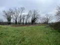 Fonds et murs commerciaux a vendre Parçay-sur-Vienne 37220 Indre-et-Loire 37 500 m2 90100 euros 37060-2284 007