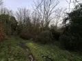 Terrains de loisirs bois etangs a vendre Ames 62190 Pas-de-Calais 62 28000 euros 62050-1772 002