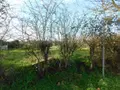Terrain a batir a vendre Brissarthe 49330 Maine-et-Loire 49 29865 euros 49096-1387 001