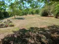 Maison a vendre Andard 49800 Maine-et-Loire 49 125 m2 7 pièces 331850 euros 49039-1116 016
