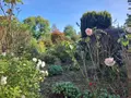 Viager maison Licques 62850 Pas-de-Calais 62 115 m2 5 pièces 100000 euros 62098-2470 005