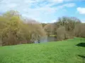 Terrains de loisirs bois etangs a vendre Nuillé-sur-Vicoin 53970 Mayenne 53 126300 euros 53032-957 002