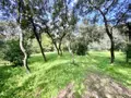 Terrain a batir a vendre Castries 34160 Hérault 34 359850 euros 34012-713 006