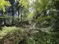 Terrain a batir a vendre Saint-Antoine-du-Rocher 37360 Indre-et-Loire 37 64200 euros 37037-17 003