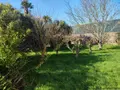 Maison a vendre Plozévet 29710 Finistère 29 99 m2 4 pièces 280950 euros 29021-2092 014