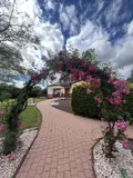 Maison a vendre Médréac 35360 Ille-et-Vilaine 35 151 m2 6 pièces 394800 euros 22044-3839 001