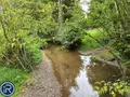 Terrains de loisirs bois etangs a vendre Montaudin 53220 Mayenne 53 13500 euros 53004-1253 008