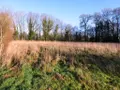 Terrains de loisirs bois etangs a vendre Locmalo 56160 Morbihan 56 26650 euros 56075-2076 001