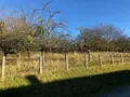 Terrain a batir a vendre Roullours 14500 Calvados 14 38000 euros 14076-4986 003
