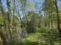 Terrains de loisirs bois etangs a vendre La Roche-Neuville 53200 Mayenne 53 95700 euros 53073-1758 015