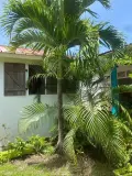 Maison a vendre Le Vauclin 97280 Martinique 972 124 m2 294000 euros 97204-406 005