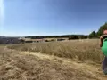 Terrain a batir a vendre Saint-Euphraise-et-Clairizet 51390 Marne 51 95000 euros 51066-1868 016