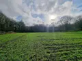 Terrain a batir a vendre Locronan 29180 Finistère 29 138000 euros 29127-1162 002