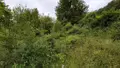 Maison a vendre Scrignac 29640 Finistère 29 45 m2 4 pièces 78750 euros 29066-3878 014