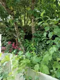 Terrains de loisirs bois etangs a vendre Neuville-sur-Sarthe 72190 Sarthe 72 58300 euros 72125-69 007