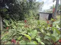 Maison a vendre Saint-Joseph 97480 La Réunion 974 60 m2 4 pièces 200000 euros 97410-725 009
