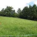 Terrain a batir a vendre Sainte-Cécile 50800 Manche 50 26800 euros 50038-2665 003