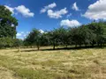 Terrain a batir a vendre Saint-Germain-sur-Sarthe 72130 Sarthe 72 31088 euros 72126-2596 001