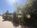 Terrain a batir a vendre Île-aux-Moines 56780 Morbihan 56 320000 euros 56089-137 004