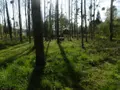 Terrains de loisirs bois etangs a vendre Pont-Farcy 50420 Manche 50 11000 euros 14076-5642 002