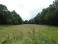 Terrain a batir a vendre Loqueffret 29530 Finistère 29 53000 euros 29129-1048 004