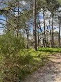 Fonds et murs commerciaux a vendre Vannes 56000 Morbihan 56 344 m2 690100 euros 56001-1225 001