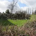 Terrains de loisirs bois etangs a vendre Chérencé-le-Héron 50800 Manche 50 6800 euros 50038-2565 001