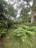 Maison a vendre Ploeren 56880 Morbihan 56 110 m2 7 pièces 467550 euros 56094-111 003
