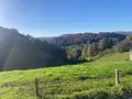 Maison a vendre Arzenc-d'Apcher 48310 Lozère 48 196 m2 430000 euros 48032-250 019