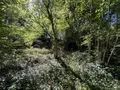 Terrain a batir a vendre Saint-Antoine-du-Rocher 37360 Indre-et-Loire 37 64200 euros 37037-17 004
