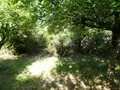 Maison a vendre Séglien 56160 Morbihan 56 145 m2 5 pièces 278180 euros 56075-2532 019