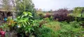 Maison a vendre Buironfosse 02620 Aisne 02 85 m2 4 pièces 81000 euros 02082-577 006