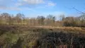 Terrains de loisirs bois etangs a vendre La Lande-d'Airou 50800 Manche 50 7800 euros 50038-2698 001