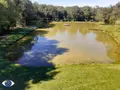 Terrains de loisirs bois etangs a vendre Mézangers 53600 Mayenne 53 63000 euros 53004-1296 002