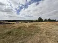 Terrain a batir a vendre Saint-Euphraise-et-Clairizet 51390 Marne 51 95000 euros 51066-1868 019