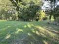 Terrains de loisirs bois etangs a vendre Saint-Georges-de-Montaigu 85600 Vendée 85 83900 euros 85020-1498 006