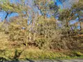 Terrains de loisirs bois etangs a vendre Trédion 56250 Morbihan 56 2800 euros 56056-167 001