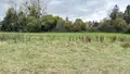 Terrain a batir a vendre Wirwignes 62240 Pas-de-Calais 62 61400 euros 62055-3805 001