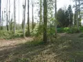 Terrains de loisirs bois etangs a vendre Pont-Farcy 50420 Manche 50 11000 euros 14076-5642 006