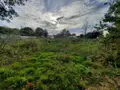 Terrain a batir a vendre Saint-Hilaire-de-Riez 85270 Vendée 85 214760 euros 85091-5170 001