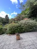 Maison a vendre Gouesnach 29950 Finistère 29 123 m2 6 pièces 480700 euros 29014-2982 011