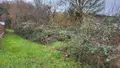 Terrain a batir a vendre Bart 25420 Doubs 25 99000 euros 25054-1738 004
