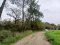 Terrains de loisirs bois etangs a vendre Allaire 56350 Morbihan 56 7500 euros 56084-354 006