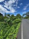 Terrain a batir a vendre Saint-Joseph 97480 La Réunion 974 151709 euros 97410-722 002
