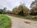 Terrains de loisirs bois etangs a vendre Allaire 56350 Morbihan 56 7500 euros 56084-354 002