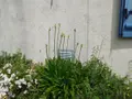 Maison a vendre Saint-Armel 56450 Morbihan 56 93 m2 6 pièces 428822 euros 56005-888 027