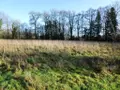 Terrains de loisirs bois etangs a vendre Locmalo 56160 Morbihan 56 26650 euros 56075-2076 002