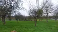 Terrain a batir a vendre Valdallière 14410 Calvados 14 37700 euros V890-VIES 001
