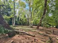 Terrain a batir a vendre Gueltas 56920 Morbihan 56 32400 euros 49 003